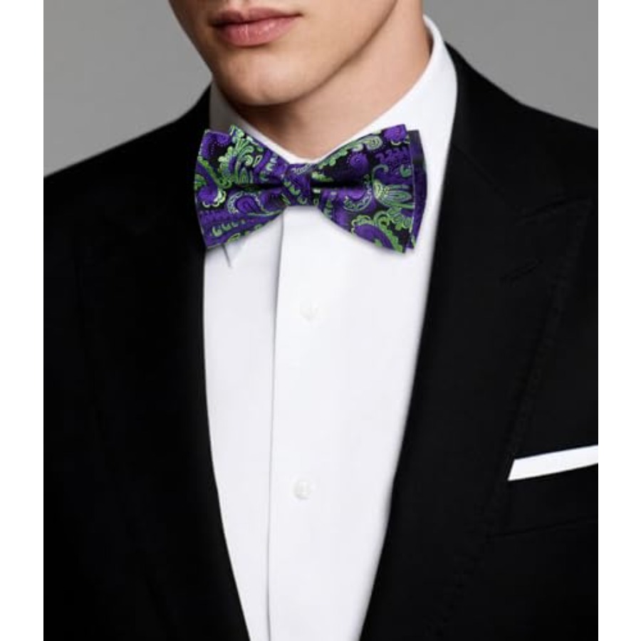 Mens Paisley Striped Bowtie Se - Bow Tie Pre Tied recensie en prijs